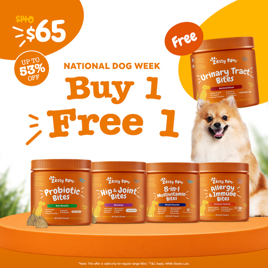 [National Dog Week] Zesty Paws Dog Bites (Buy 1 Free 1)