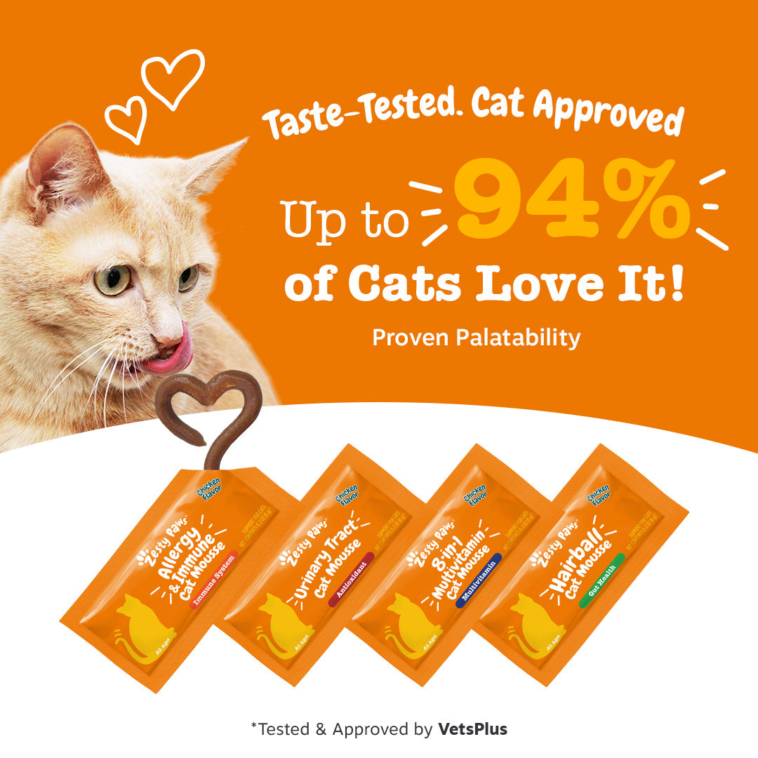 Total Wellness Bundle (4-in-1) Cat Mousse