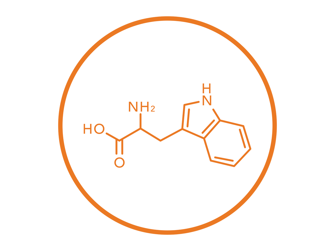 L-Tryptophan