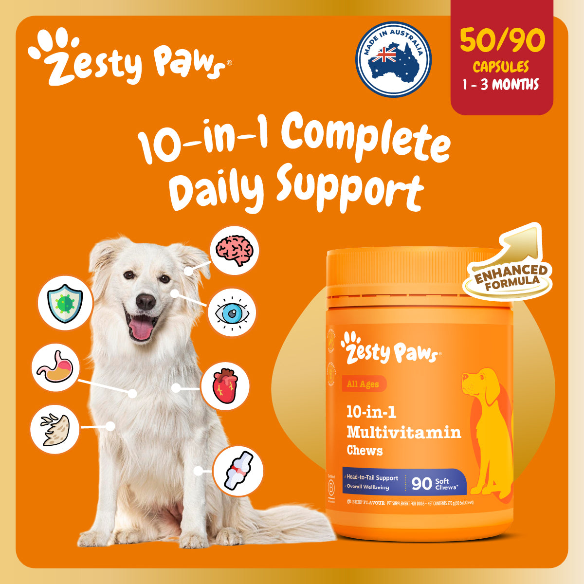 (Enhanced Range) 10-in-1 Multivitamin Chews