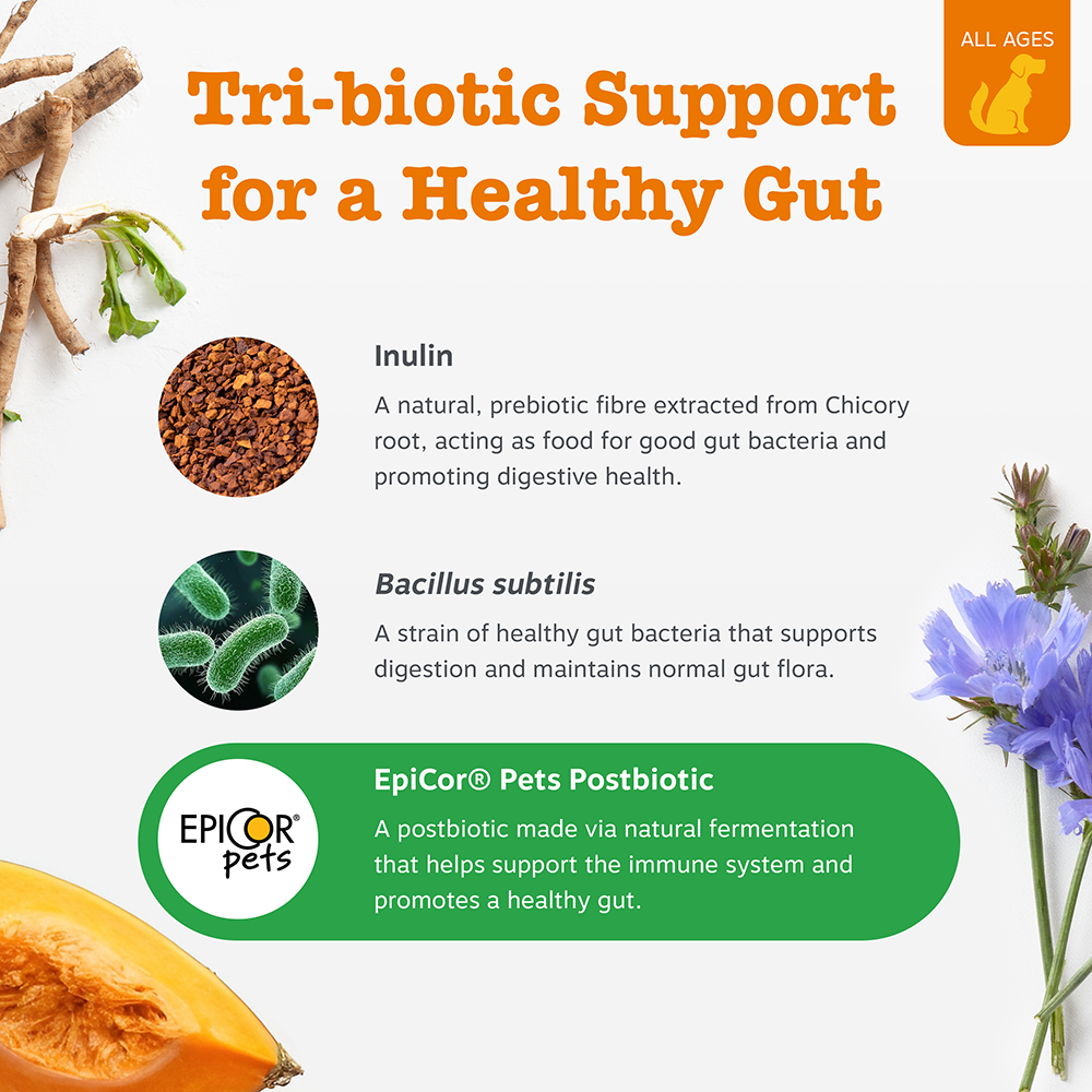(Enhanced Range) Pre, Post & Probiotic Chews