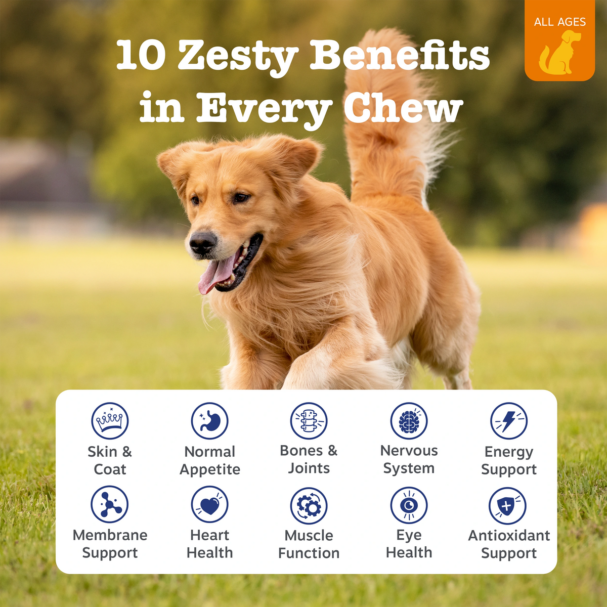 10-in-1 Multivitamin Chews Starter Pack