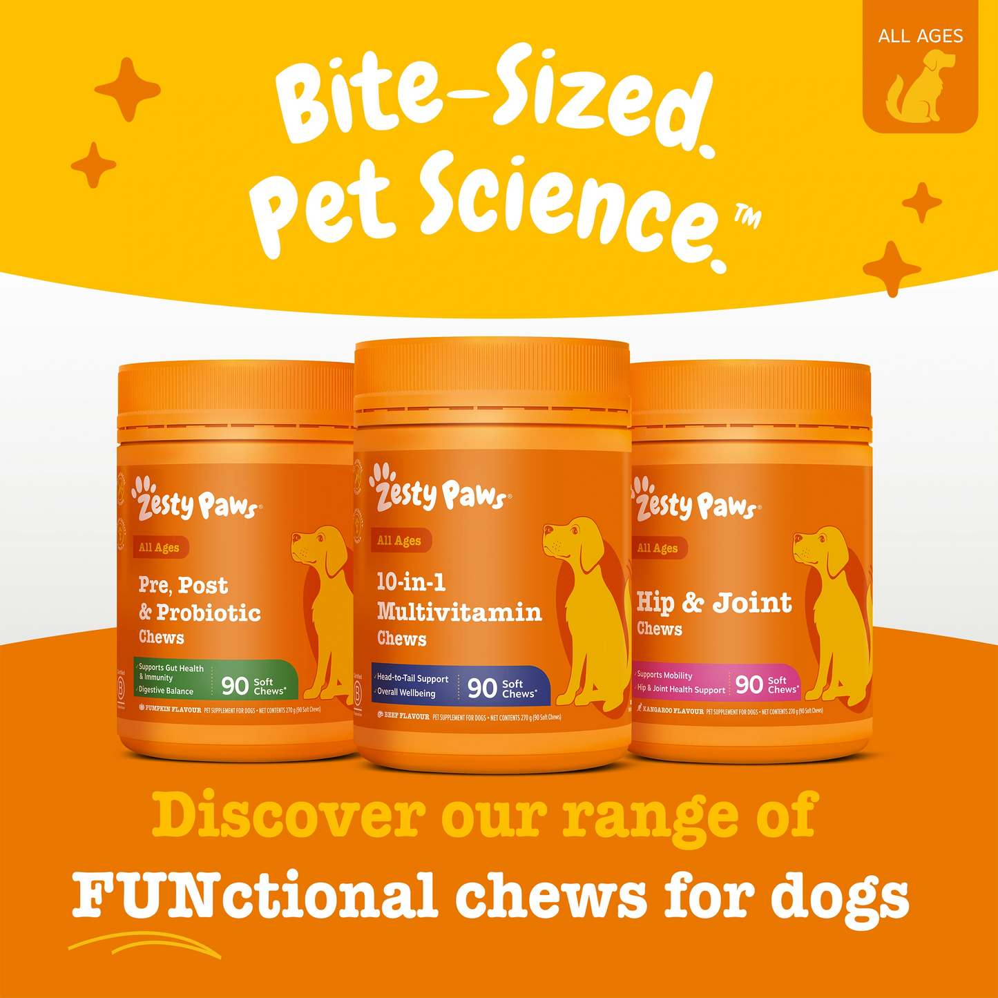 10-in-1 Multivitamin Chews Starter Pack