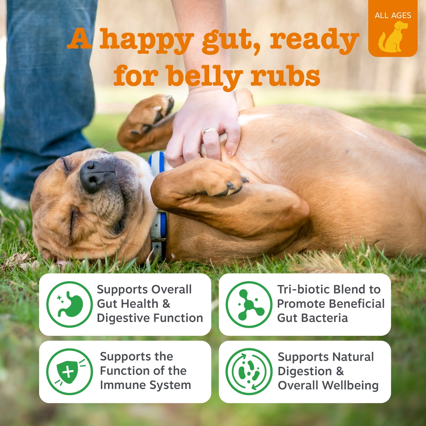Pre, Post & Probiotic Chews Starter Pack