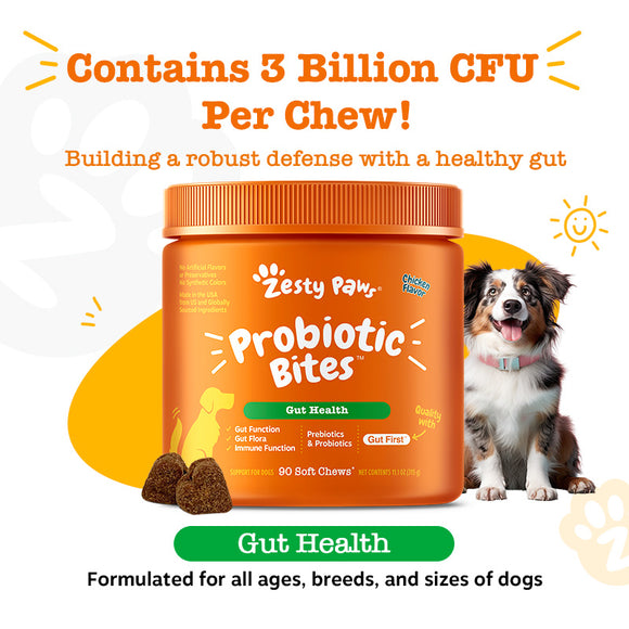 Probiotic Bites for Dogs | Dog Gut Health, Digestion, Immunity – Zesty ...
