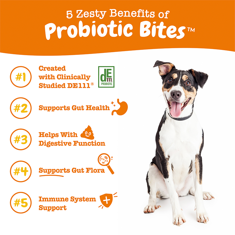 Zesty Paws Inside-out Bundle (Skin & Coat, Urinary Tract & Probiotic Bites 90ct)