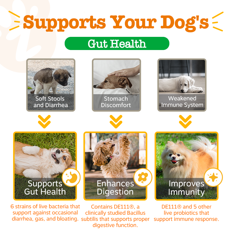 Zesty Paws Trial Pack, 10ct