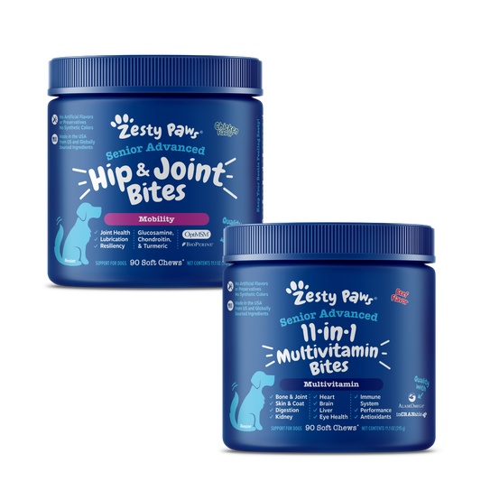 Senior Dog Joint Care Bundle