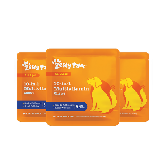 Advanced Chews Discovery 3 Sachet Pack