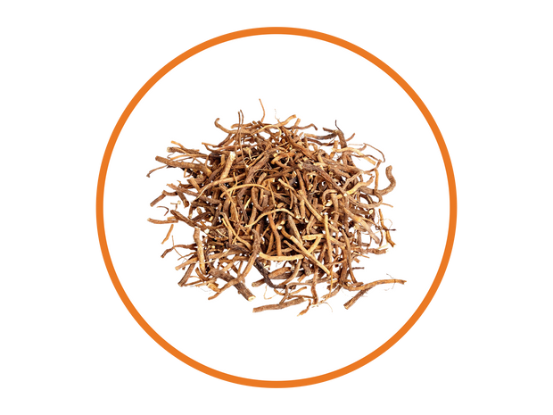 Valerian Root