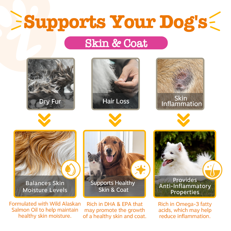 Zesty Paws Omega Boost Salmon Oil Blend 250ML (3× more Salmon Oil)