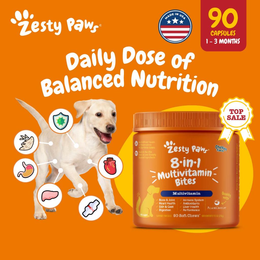 Active Wellness Bundle